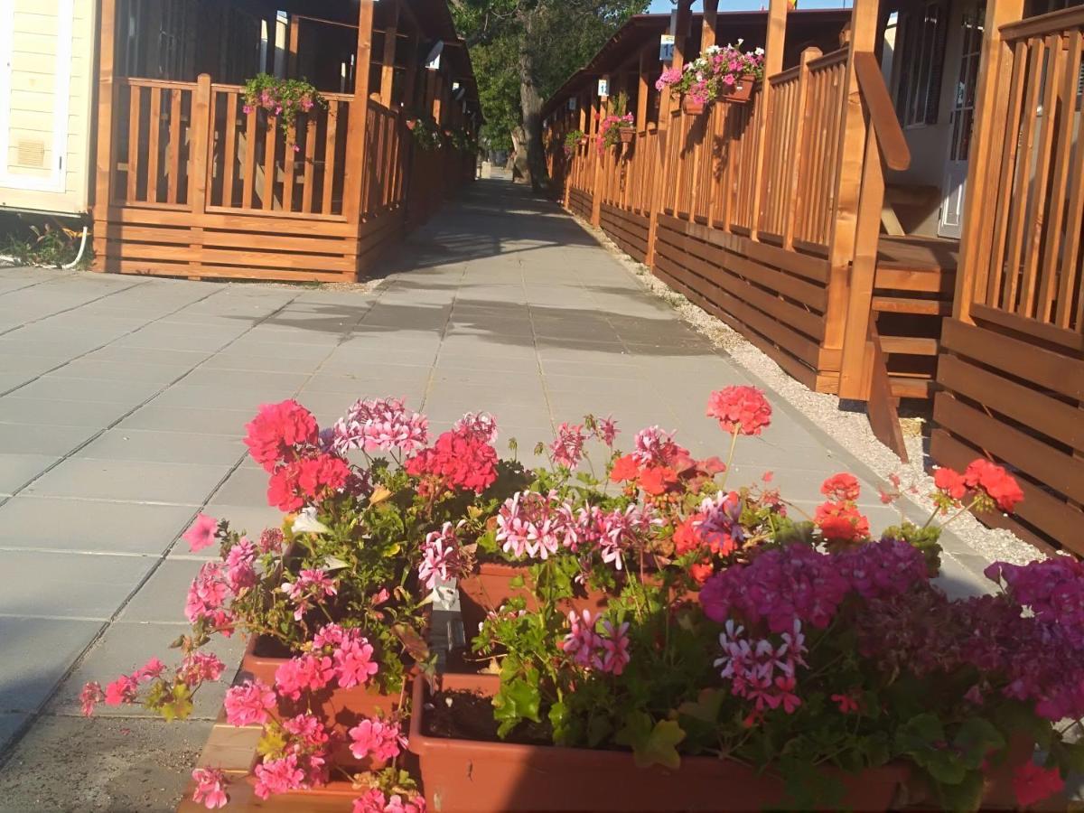 Villaggio Degli Angeli Scerne Pineto Exterior foto